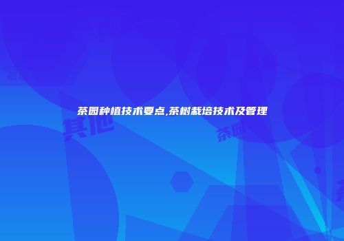 茶园种植技术要点,茶树栽培技术及管理