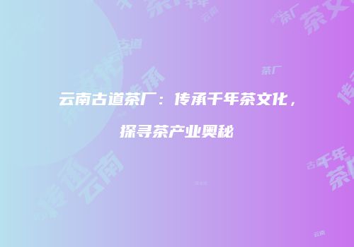 云南古道茶厂：传承千年茶文化，探寻茶产业奥秘