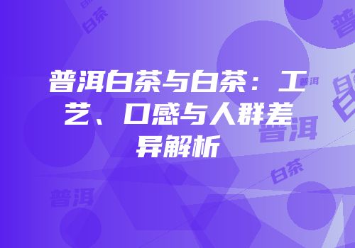 普洱白茶与白茶：工艺、口感与人群差异解析