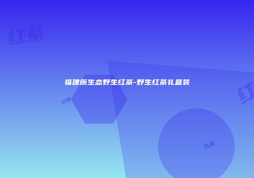 福建原生态野生红茶-野生红茶礼盒装
