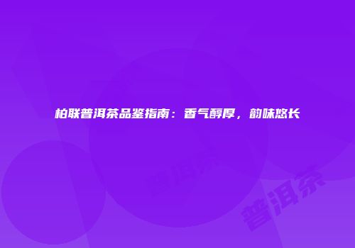 柏联普洱茶品鉴指南：香气醇厚，韵味悠长
