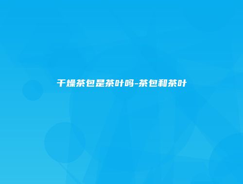 干燥茶包是茶叶吗-茶包和茶叶