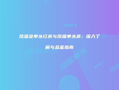 凤凰金单丛红茶与凤凰单丛茶：深入了解与品鉴指南