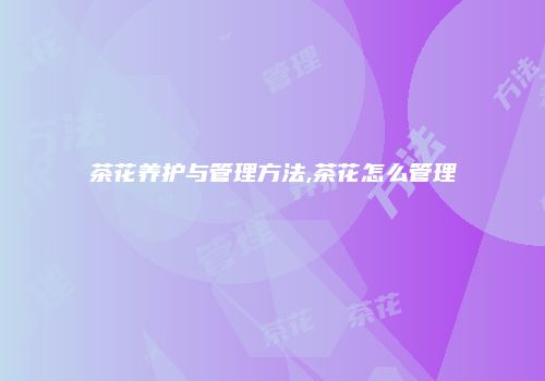 茶花养护与管理方法,茶花怎么管理
