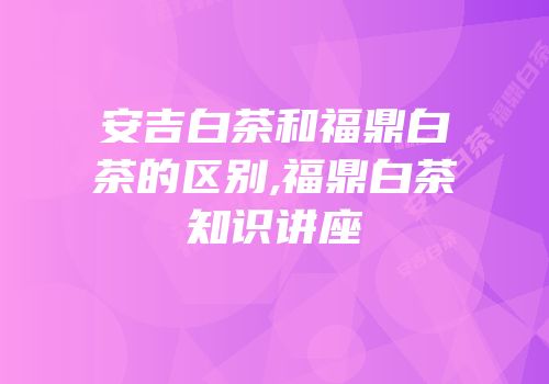 安吉白茶和福鼎白茶的区别,福鼎白茶知识讲座