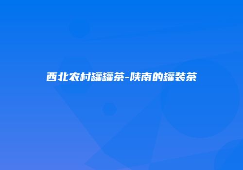 西北农村罐罐茶-陕南的罐装茶