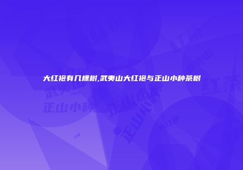 大红袍有几棵树,武夷山大红袍与正山小种茶树