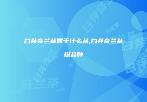 白芽奇兰茶属于什么茶,白芽奇兰茶树品种