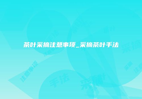 茶叶采摘注意事项_采摘茶叶手法
