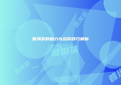 普洱茶的魅力与选购技巧解析