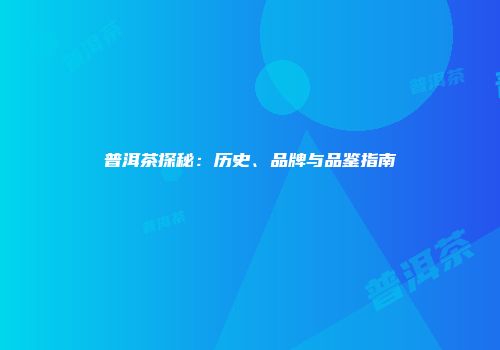 普洱茶探秘：历史、品牌与品鉴指南