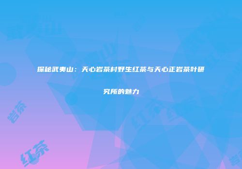 探秘武夷山：天心岩茶村野生红茶与天心正岩茶叶研究所的魅力