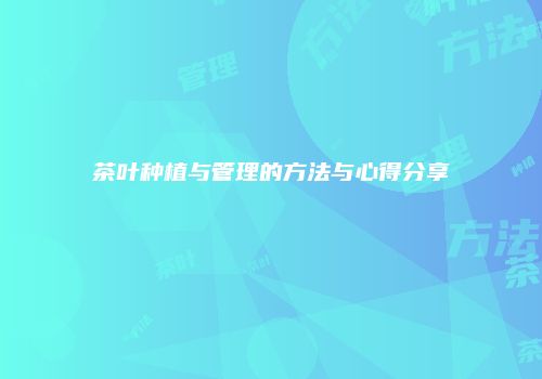 茶叶种植与管理的方法与心得分享