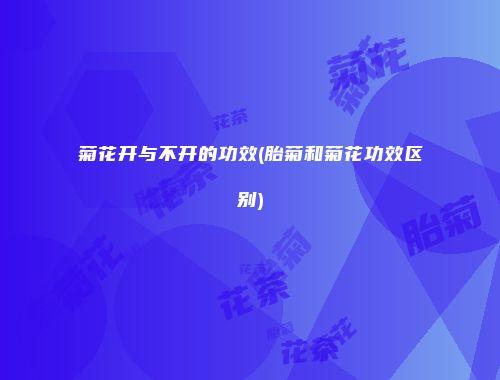 菊花开与不开的功效(胎菊和菊花功效区别)
