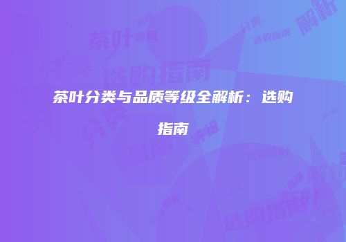 茶叶分类与品质等级全解析：选购指南