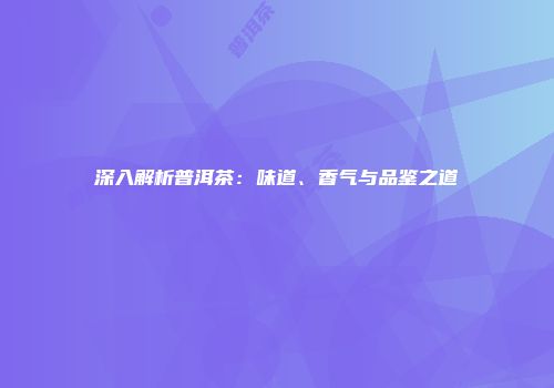 深入解析普洱茶：味道、香气与品鉴之道