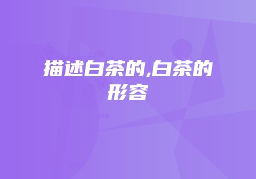 描述白茶的,白茶的形容