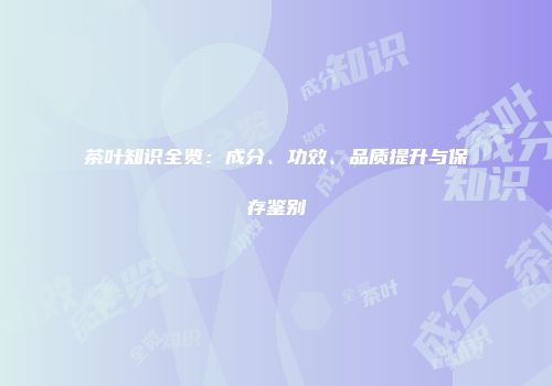 茶叶知识全览：成分、功效、品质提升与保存鉴别