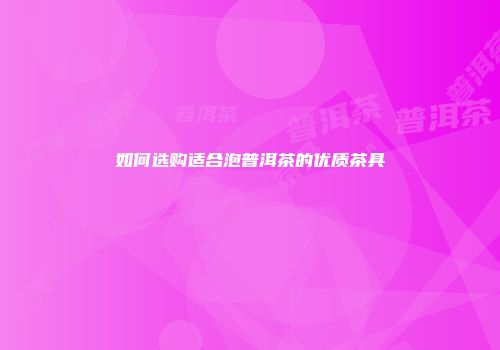 如何选购适合泡普洱茶的优质茶具