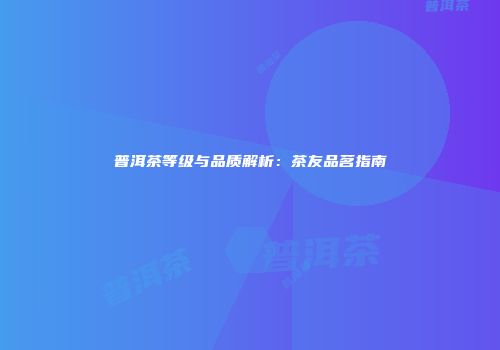 普洱茶等级与品质解析：茶友品茗指南