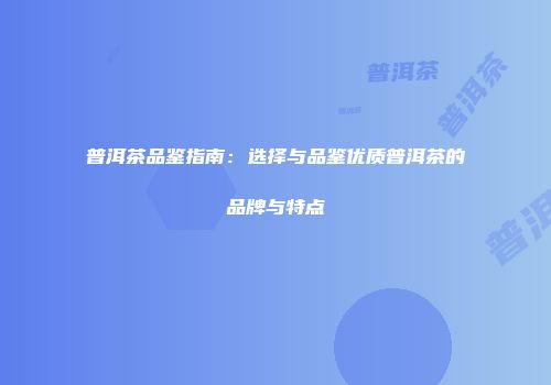 普洱茶品鉴指南：选择与品鉴优质普洱茶的品牌与特点