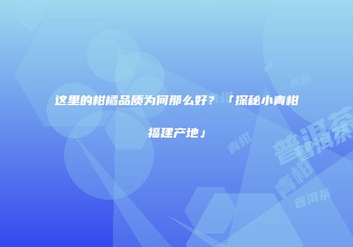 这里的柑橘品质为何那么好？「探秘小青柑福建产地」