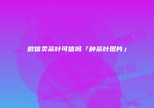微信卖茶叶可信吗「种茶叶图片」