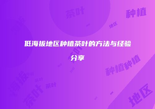 低海拔地区种植茶叶的方法与经验分享