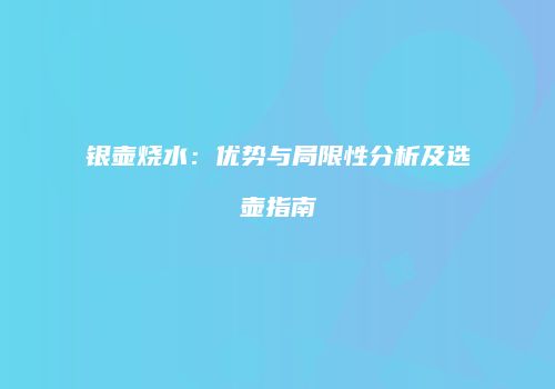 银壶烧水：优势与局限性分析及选壶指南
