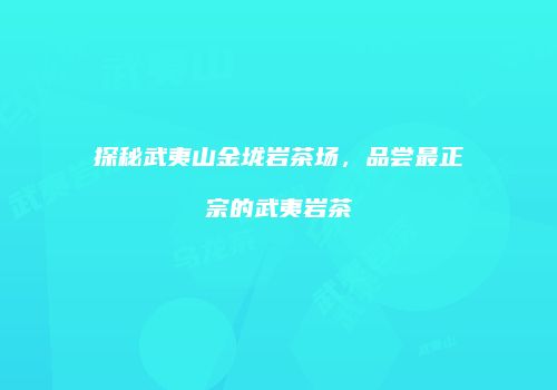 探秘武夷山金垅岩茶场，品尝最正宗的武夷岩茶