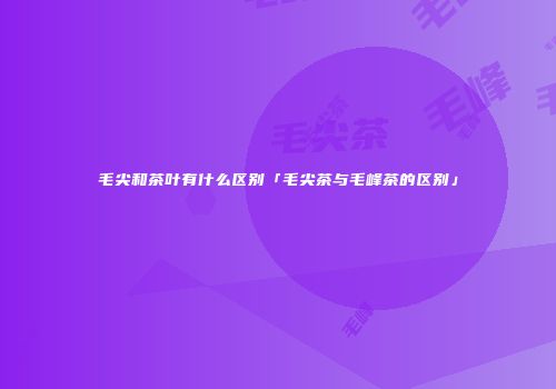 毛尖和茶叶有什么区别「毛尖茶与毛峰茶的区别」
