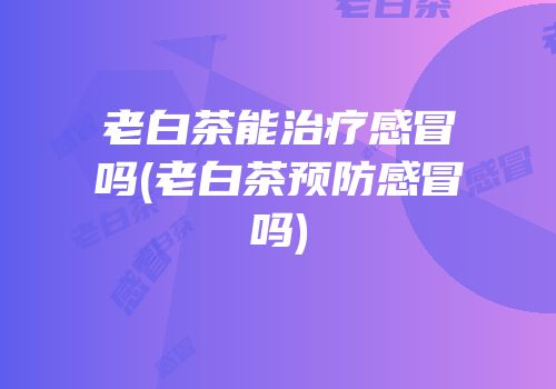 老白茶能治疗感冒吗(老白茶预防感冒吗)