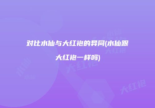 对比水仙与大红袍的异同(水仙跟大红袍一样吗)