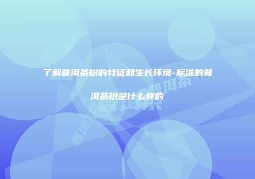 了解普洱茶树的特征和生长环境-标准的普洱茶树是什么样的