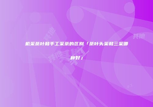 机采茶叶和手工采茶的区别「茶叶头采和三采哪种好」