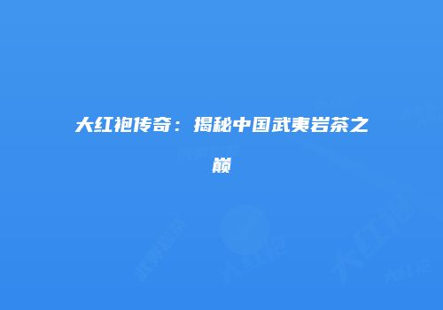大红袍传奇：揭秘中国武夷岩茶之巅