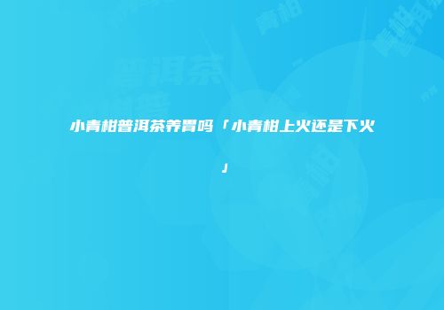 小青柑普洱茶养胃吗「小青柑上火还是下火」