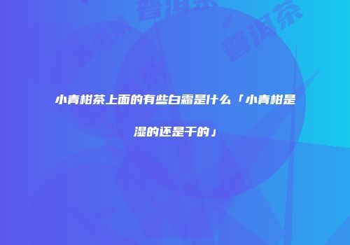 小青柑茶上面的有些白霜是什么「小青柑是湿的还是干的」