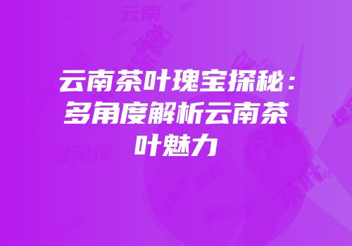 云南茶叶瑰宝探秘：多角度解析云南茶叶魅力