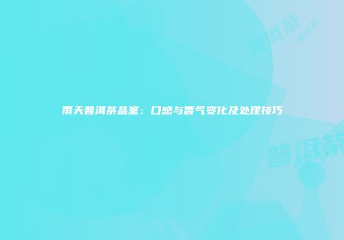雨天普洱茶品鉴：口感与香气变化及处理技巧