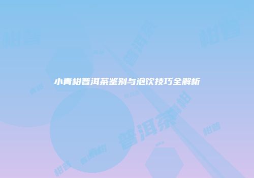 小青柑普洱茶鉴别与泡饮技巧全解析