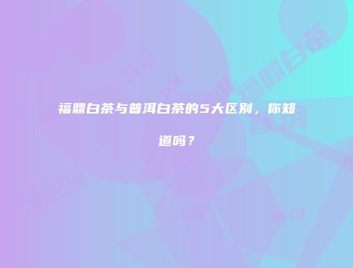 福鼎白茶与普洱白茶的5大区别，你知道吗？