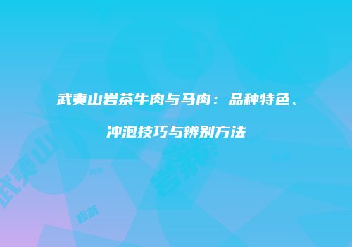 武夷山岩茶牛肉与马肉：品种特色、冲泡技巧与辨别方法