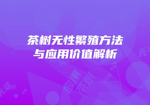 茶树无性繁殖方法与应用价值解析