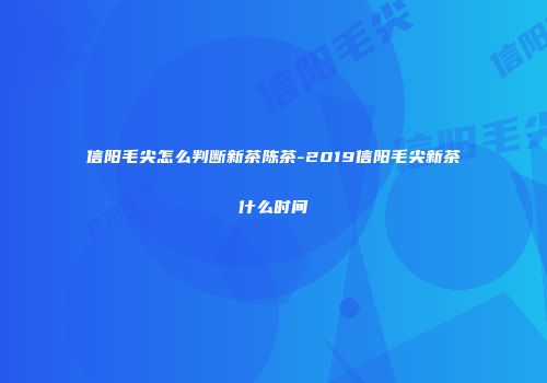 信阳毛尖怎么判断新茶陈茶-2019信阳毛尖新茶什么时间