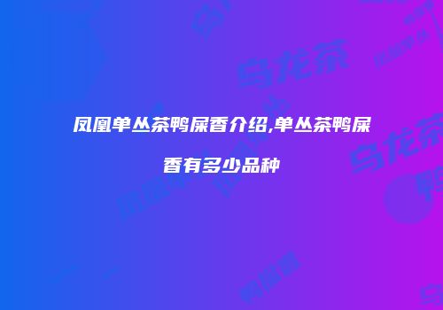 凤凰单丛茶鸭屎香介绍,单丛茶鸭屎香有多少品种