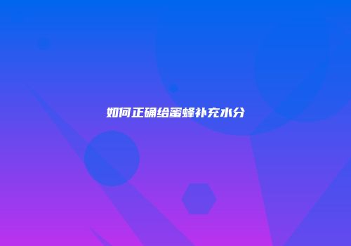 如何正确给蜜蜂补充水分