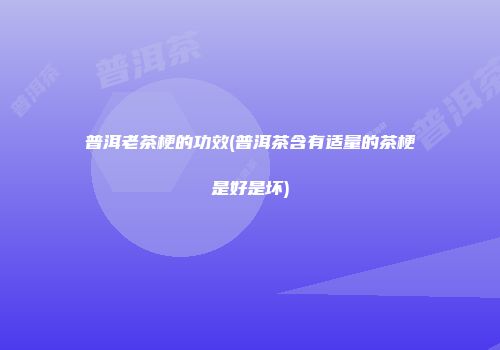 普洱老茶梗的功效(普洱茶含有适量的茶梗是好是坏)
