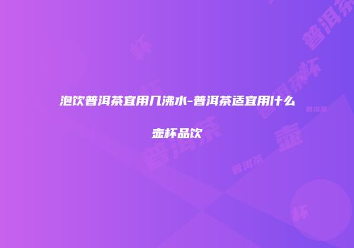 泡饮普洱茶宜用几沸水-普洱茶适宜用什么壶杯品饮