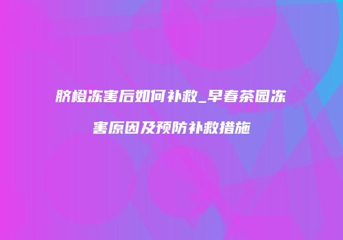 脐橙冻害后如何补救_早春茶园冻害原因及预防补救措施